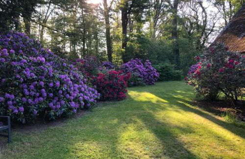 Ferienwohnungen Unter den Eichen - Foto 15