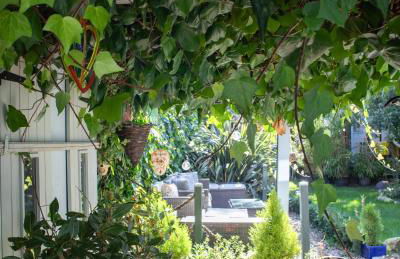 Thai inspired Garden House Short Beach Stroll in the Heart of Whitstable - Foto 3