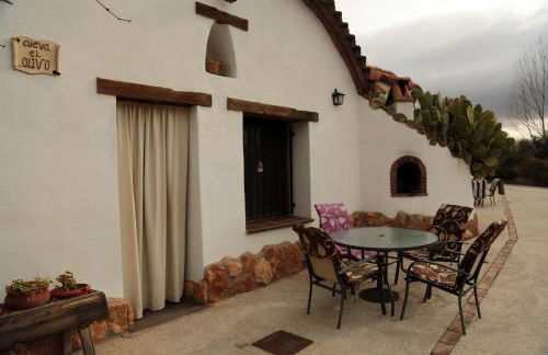 Cuevas la Chumbera - Photo 63