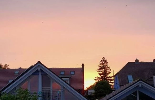 Ferienhaus "marianne" in Breege - Photo 31