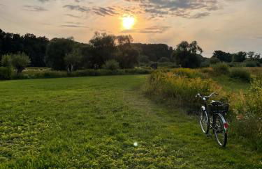 Haus am Wald in Hitzacker Elbe Wendland - Foto 22