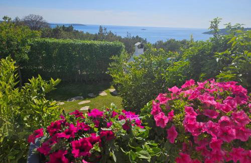 LUXURY VILLA ŠENTADA - Photo 45