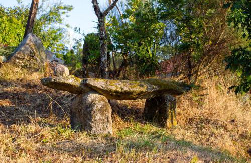 Horizontes Serranos - Foto 60