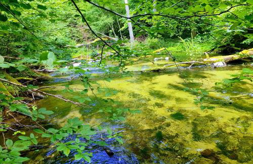 Jaskółka - pokoje i apartament przy plaży - Photo 37