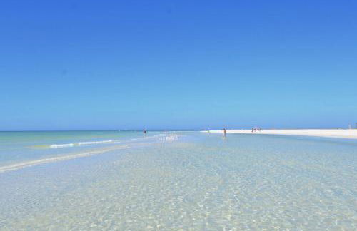 Private Patio, Walk to All, 2min- Siesta Keys Best Beach, 1min- Dining & Entertainment of Village! - Foto 21