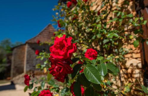 Beauchamps - Foto 19