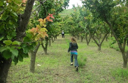 La Villa Noyau Doux - Foto 29