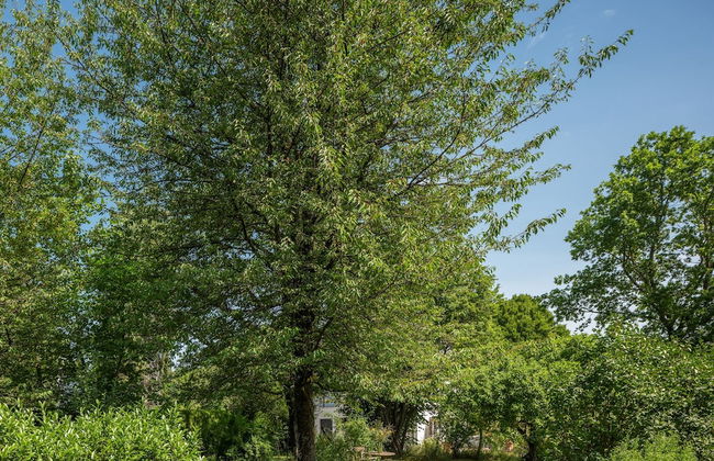 Gut Stohrerhof - Foto 61