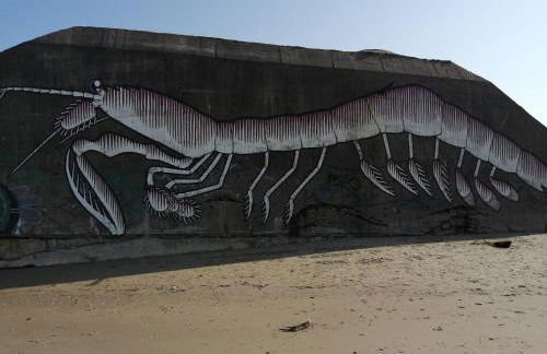 Ste Cécile Plage - Foto 31