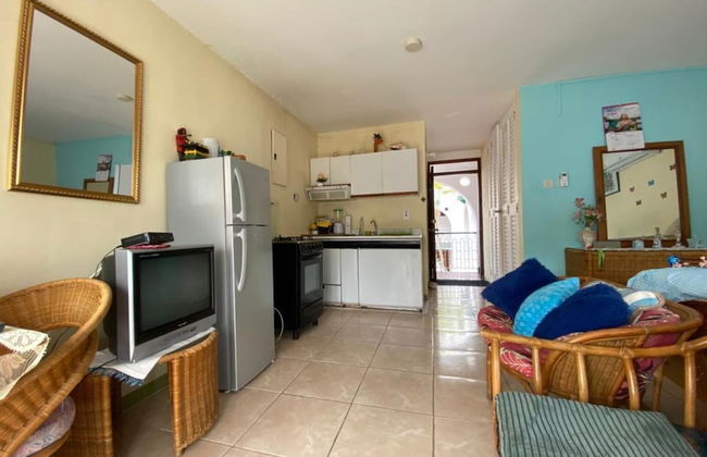 Beautiful 1-bed Beach Side Studio in Montego Bay - Foto 12
