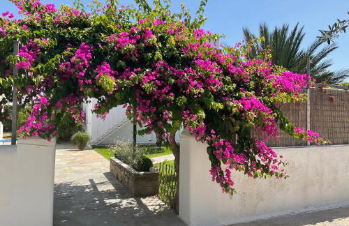 Rodia Studios & Apartments - Foto 48