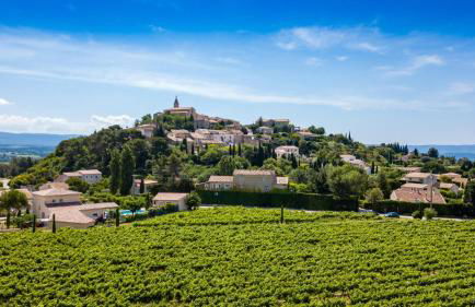 Mas Provençal Fanny - Foto 8