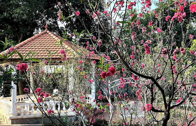 J'adore Garden House - Vinh Yen - Photo 16