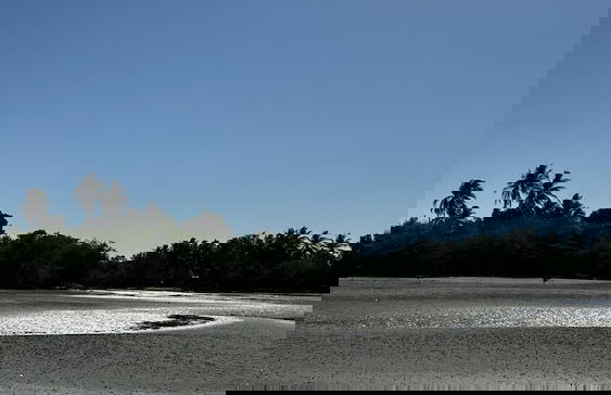 Paradise Bay - Foto 19