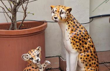 "Pier's House" - Attico a 3 chilometri dal Centro Città - Photo 16