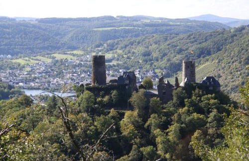 Ferienwohnungen im Moseltal - Foto 78