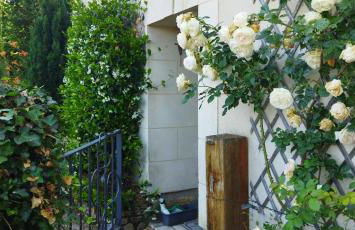 Maison de campagne entre Loire et vignes - Photo 4