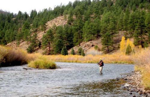 Lake House - Foto 38