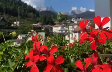 La casa di Monte Ricco - Foto 2