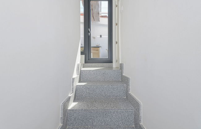 Solaga - Chinchilla - Foto 30