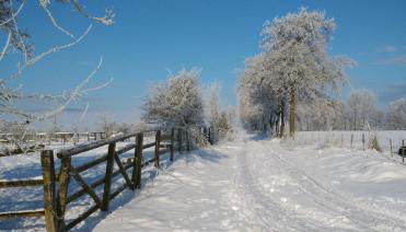 Ferienwohnung "Vier Pfoten" in Korbach - Foto 2