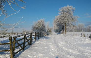Ferienwohnung "Vier Pfoten" in Korbach - Foto 2