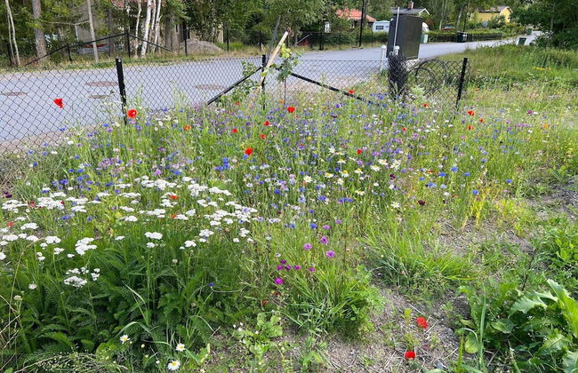 7 Person Holiday Home in Huddinge - Photo 19