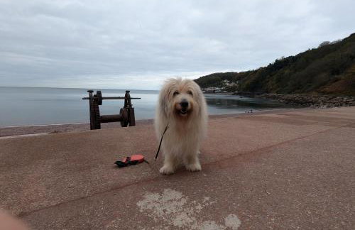 South Devon Holiday Retreat - Entire House - Family & Pet Friendly - Foto 40