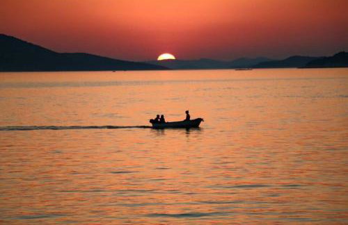 Appartements Antunovic - Foto 27