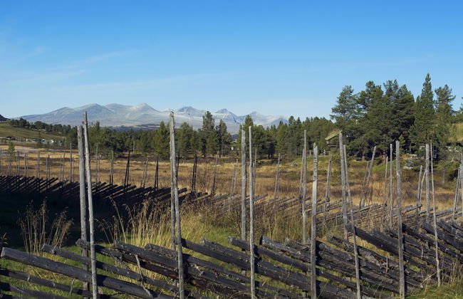 Rondaplassen - Foto 39