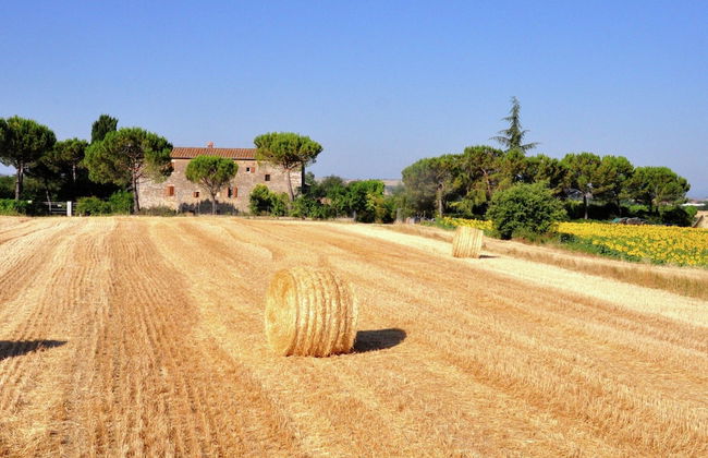 Nice Farmhouse in Asciano With Shared Pool - Foto 39