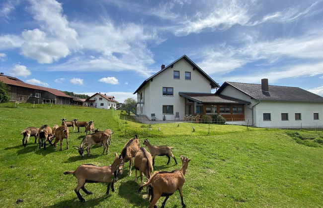 Apartment in Bavaria Near Forest - Foto 26