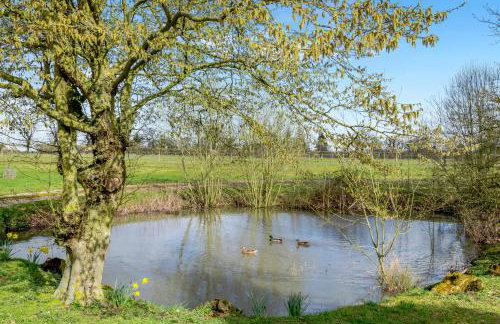 The Old Dairy & The Old Stables - Foto 7