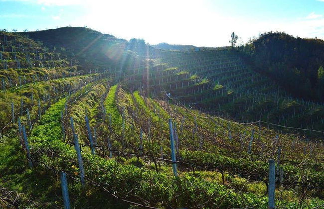 Excursion privée à Durrës - Photo 5