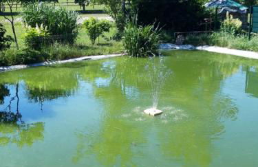 Zimmer und Apartment Rosi - Foto 16