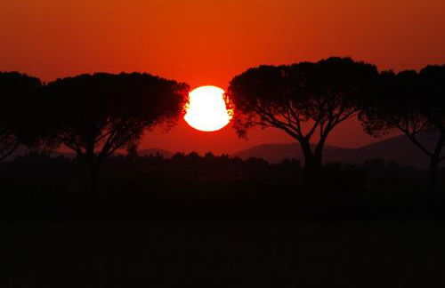 Bio Agriturismo Le Giunchiglie - Foto 20