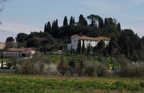 Bacco a Petroio - Foto 30