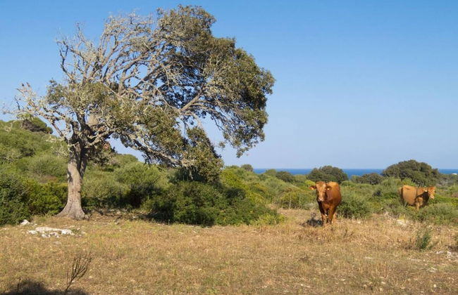 Alcaufar Vell Hotel Rural & Restaurant - Photo 55