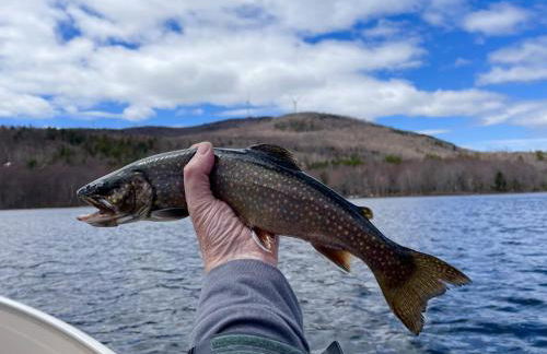 Toms Cabin On Lake Christopher - Foto 53