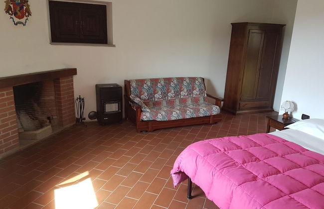 Le Chianine dei Tognoli - Foto 4