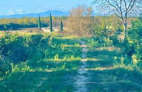 Casa sul fiume - Foto 33