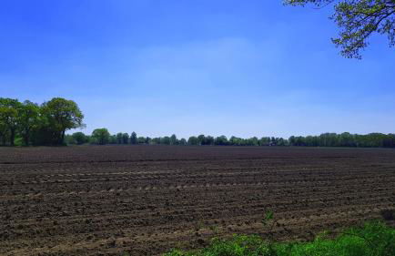 Huus Cöllnöst - Photo 14