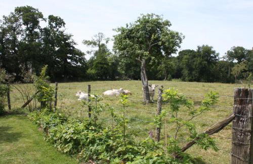 Petite Maison - Foto 17