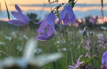 Lovely room in a 18th century manor - Foto 13