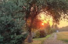 Grahl´s Ferienwohnung - Foto 34