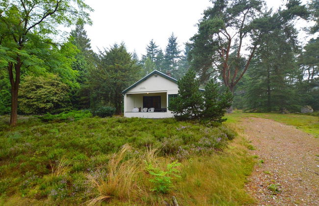 Cosy Holiday Home in Maarheeze With Verandah - Foto 46