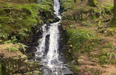 Wee Silverburn - Photo 40