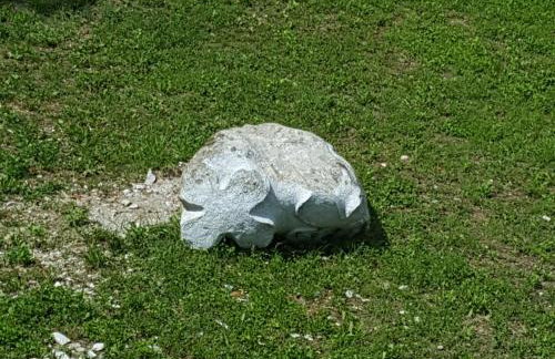 Masetto Egidio Eco-Agritur - Foto 34