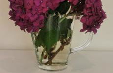 Studio cosy et tout neuf - Foto 22