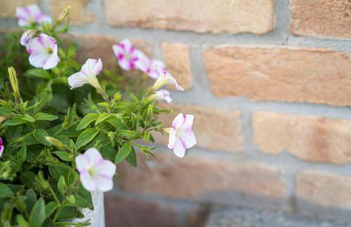 Agriturismo "Le Giustizie" - Foto 30